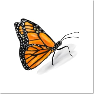 Monarch Butterfly Posters and Art